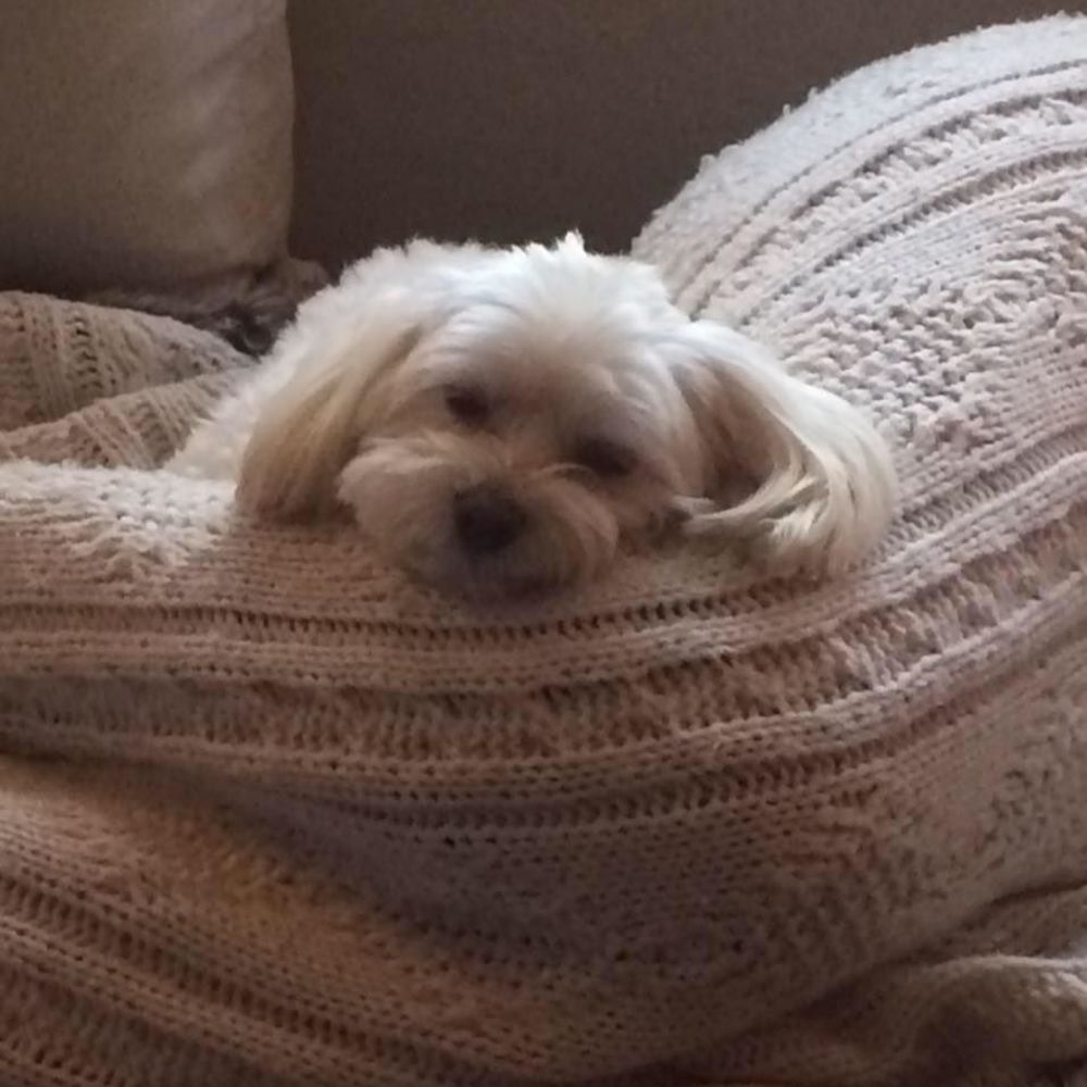 Meet your Posher, Susan